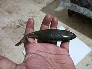 Vintage Hand Carved Wooden Fish