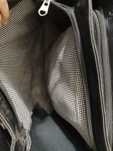 Black Handbag