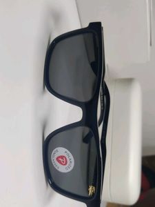 Lacoste Polarized Sunglasses