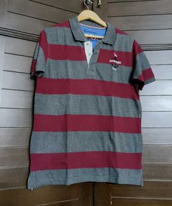 Mast & Harbour Men Red Grey Striped Polo TShirt