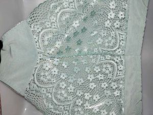 Premium Mint Green High-Waist Sheer Lace Panty (Si