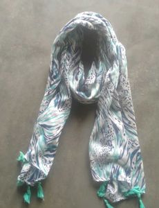 Ladies Scarf