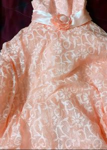 Peach Color Party Wear