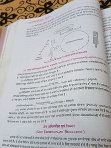 Biology Text Book Class 12th