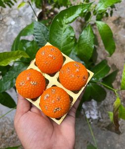 Soyewax premium Laddu candle