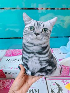 Cute Cat Plush Toy