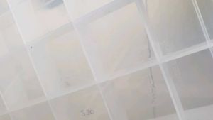 Clear Compartment Organizer Box