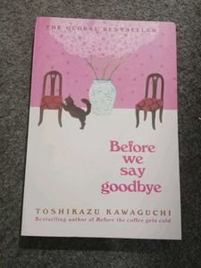 Before We Say Goodbye Novel