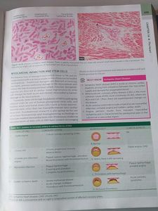 Textbook of Pathology