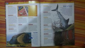 Ripley's Believe It Or Not Book
