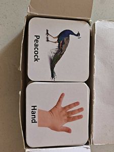 All in One Flash Cards Set