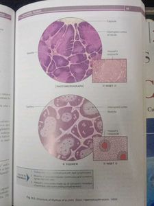 Genetics, osteology, histology Medical Textbooks B