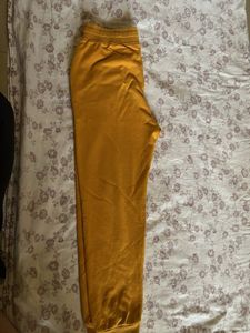Peter England Yellow Joggers