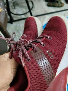 Campus Maroon Running Shoes