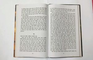 Padmanadir Majhi by Manik Bandopadhyay