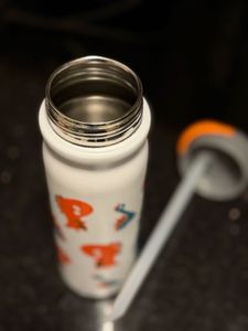 Dinosaur Water Bottle