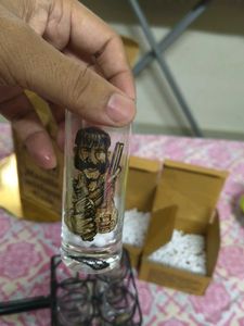 Decorative shots glass