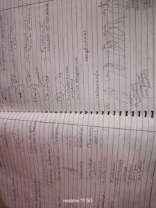BEST SCIENCE HANDMADE NOTES CLASS 10