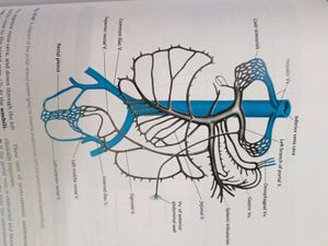 Cunningham's Manual of Practical Anatomy
