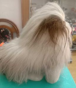 Furry Dog Soft Toy