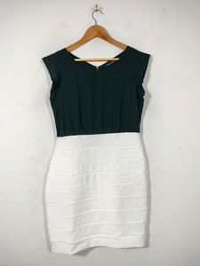 Black& White Casual Dresses (Women's)