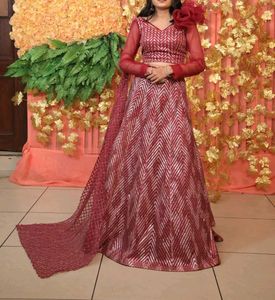 Maroon &amp; Silver Lehenga