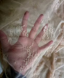 Sheer Lace Top