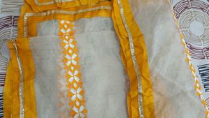 Embroidered dupatta with Geometric Print