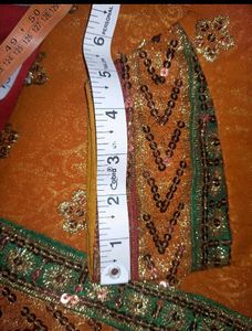 Elegant Embellished Saree