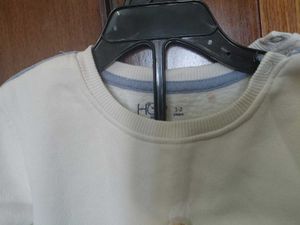 Cute Bear Sweatshirt