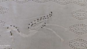 TABLE COVER