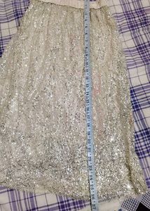 Very Fancy Sequin Work Skirts