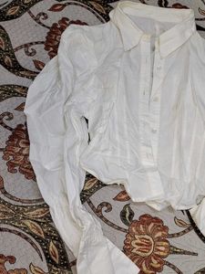 Classic White Collared Shirt