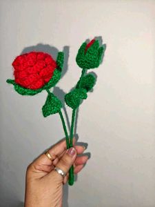Seashell Wall Vase 🐚with Crochet Flower🌹