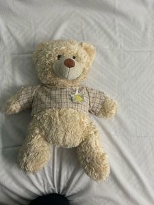 Teddy Bear Premium Quality Plush Toy
