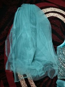 Elegant Crop top Lehnga