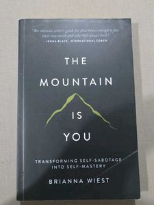 The Mountain Is You Book