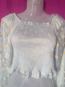 Daisy Sheer Sleeve Top