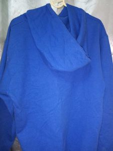 Champion Unisex Blue Hoodie
