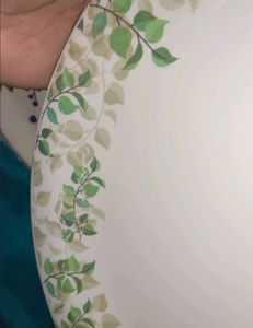Unused New Set of 2 Elegant Leaf Dinner Plates