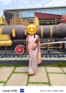 Elegant pure silk organza saree