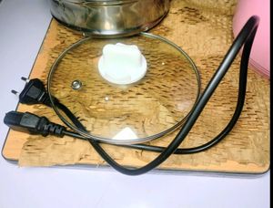Portable Electric Cooking Pot