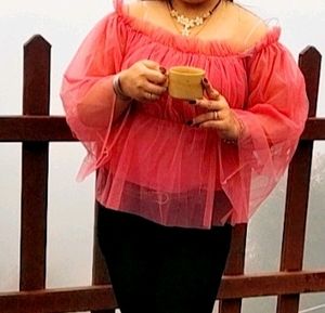 Net top