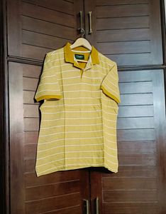COLORPLUS Men Striped Tailored Fit Polo T-shirt