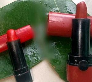 Retro Brown and Red Lipstick Combo 💄