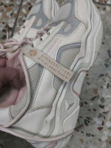 Fashion Sneakers