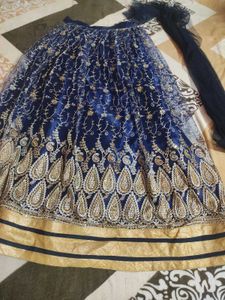 Elegant Blue lehenga