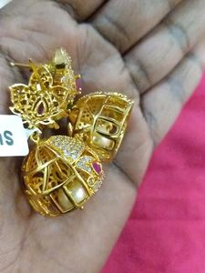 1grm JHUMKIS