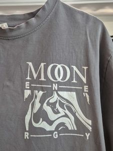 Grey Graphic Print T-Shirt