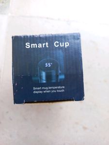 Water Bottle With LED Display
